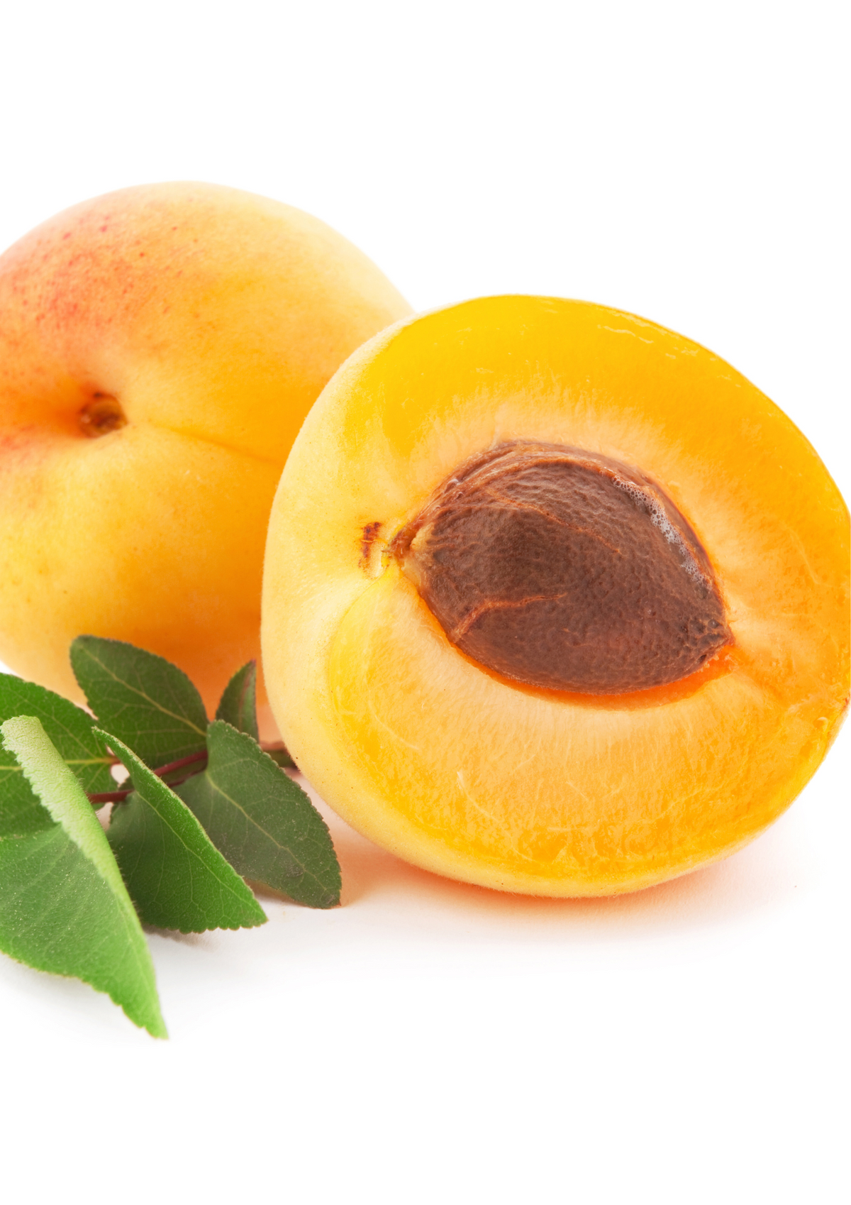 Millionaire Organic Apricot Kernel and Vitamin E Oil